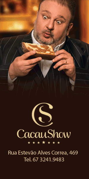 Banner Cacau Show - Campanha de Natal - Vertical - 300 x 600
