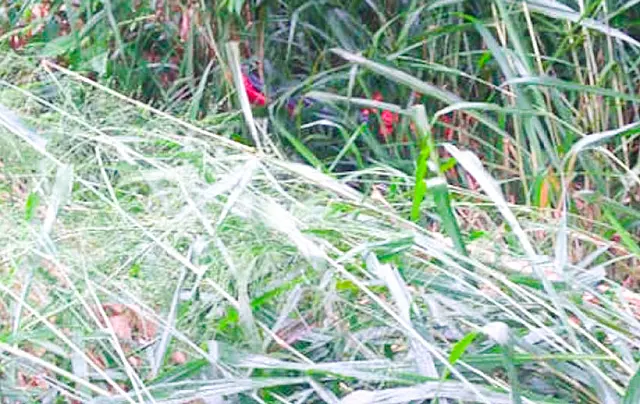 PM apreende moto escondida no meio do mato no Guanandy, em Aquidauana