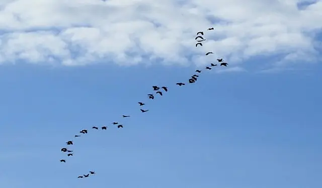 Sábado com nuvens e possibilidade de chuvas isoladas