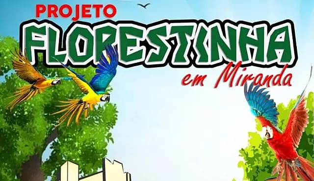 Inscrições para o Projeto Florestinha vão até esta semana
