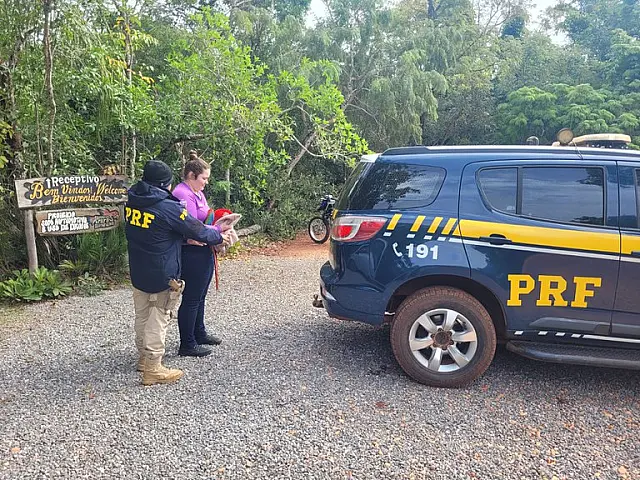 Policiais resgatam arara atropelada em rodovia