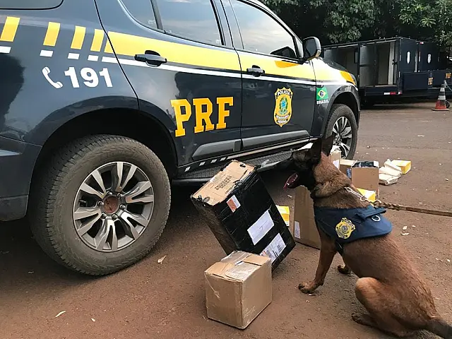 Cães da PRF farejam e encontram entorpecentes nos Correios