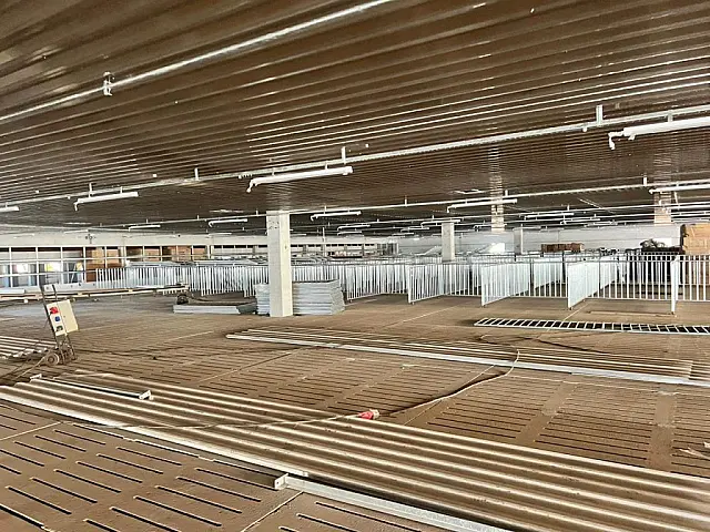 Suinocultura de MS terá 1ª central de sêmen em novembro