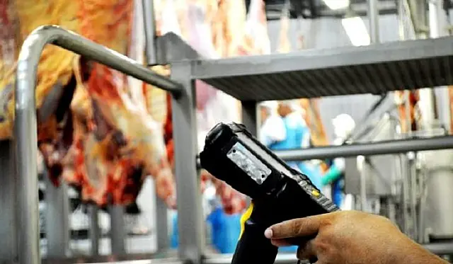 Governo aprimora Programa Precoce/MS para incentivar produção pecuária sustentável