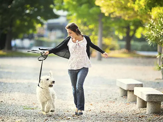 Pesquisa: donos de cães são amigáveis e mais atraentes