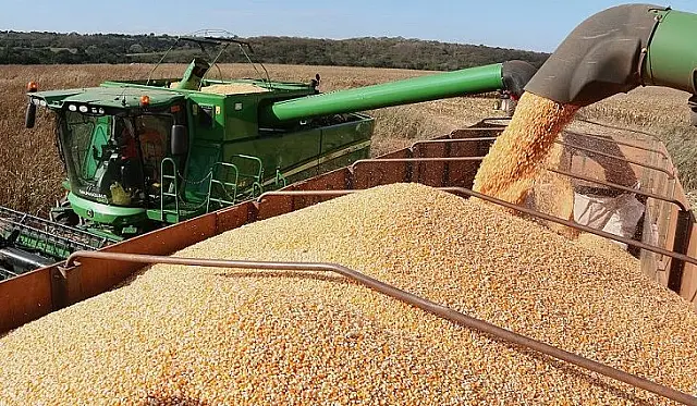 Colheita da soja entra na reta final e plantio do milho passa dos 90% em Mato Grosso do Sul