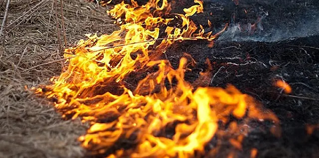 Polícia do Pará identifica suspeitos de provocar queimadas na Amazônia