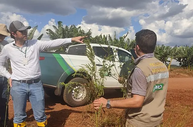 Iagro abre concurso com 29 vagas para médico veterinário