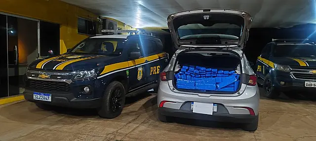 Motorista é preso com 318 kg de maconha na BR-262