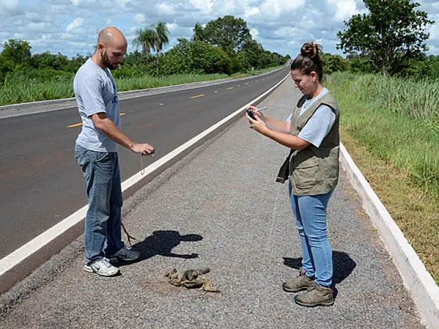 Atropelamento de fauna será tema de blitz educativa amanhã na BR-262