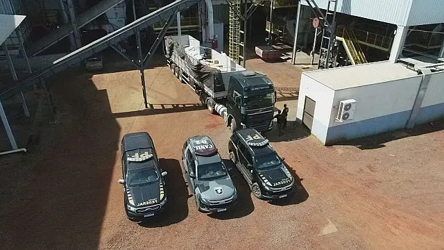 PF incinera mais de 12 toneladas de drogas