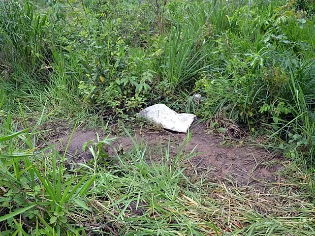 Homem encontrado morto em matagal estava a passeio na casa da filha