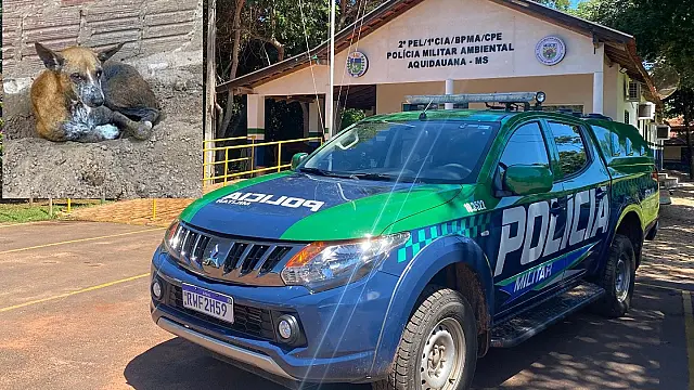 Morre cadela resgatada de maus tratos em Aquidauana