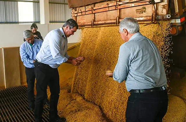 Capacidade de processar soja em MS crescerá 20%