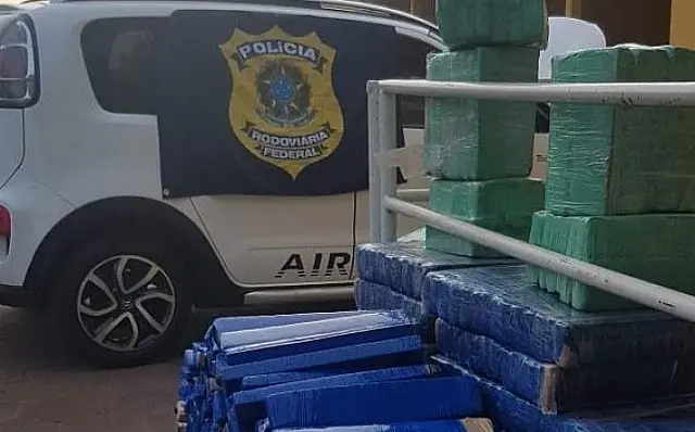 PRF apreende mais de meia tonelada de maconha na BR-267