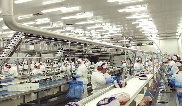Exportações crescem e superávit de MS é 29,37% maior em relação ao ano passado