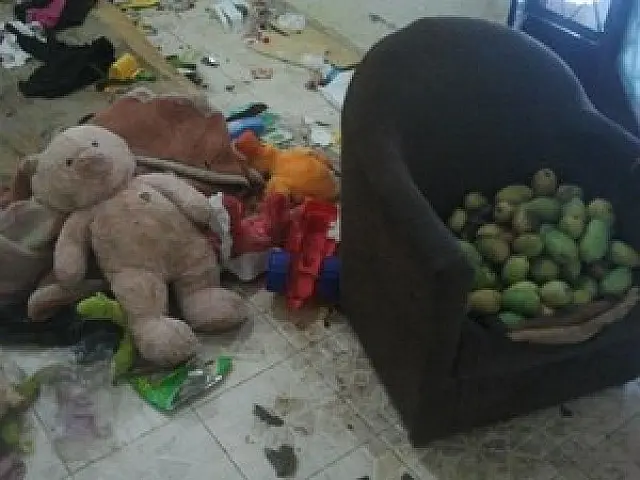 Tia pede guarda de menino deixado em casa pela mãe durante 5 dias