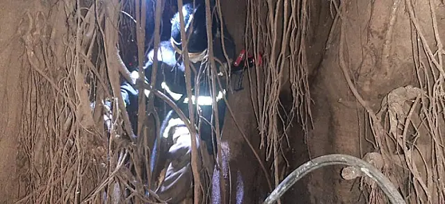 Incêndios em terreno baldio e em árvore assustam população de Corumbá