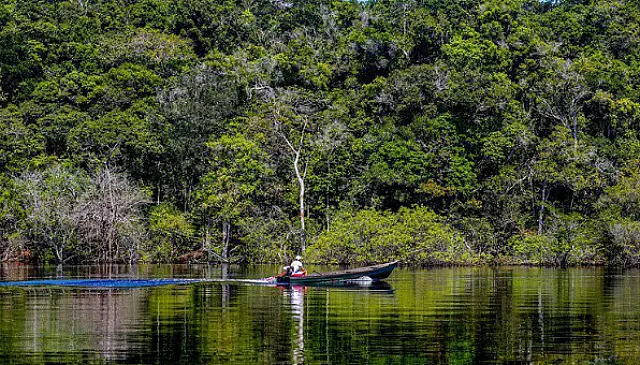 Cerrado reduz desmatamento em 11,49% e mantém tendência de queda