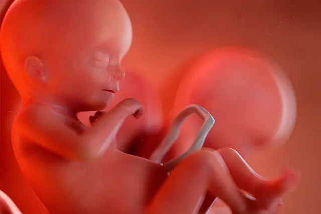 Senado da Argentina aprova aborto legal nesta quarta-feira