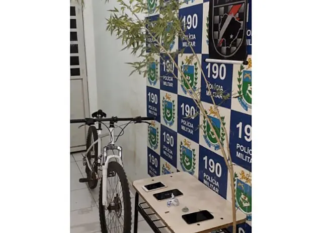Homem é preso após cultivar maconha no quintal para vender em Aquidauana