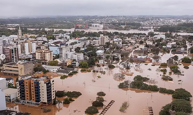 Cartilha mostra como evitar vetores e pragas após alagamentos