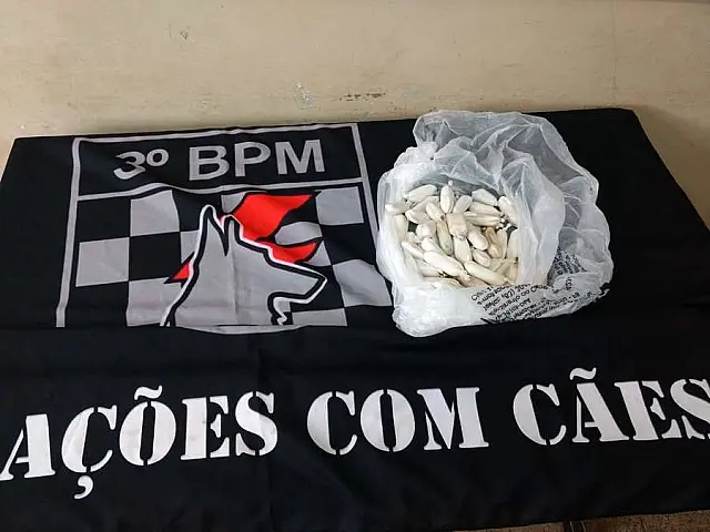 Homem preso com haxixe no estômago também engoliu dinheiro e maconha
