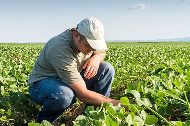 Agrônomo: um dos responsáveis pelo setor que não está na crise de 2020