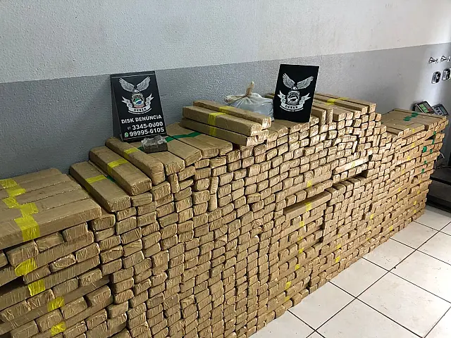 Polícia Civil e PRF apreendem 900kg de maconha em área rural de Sidrolândia