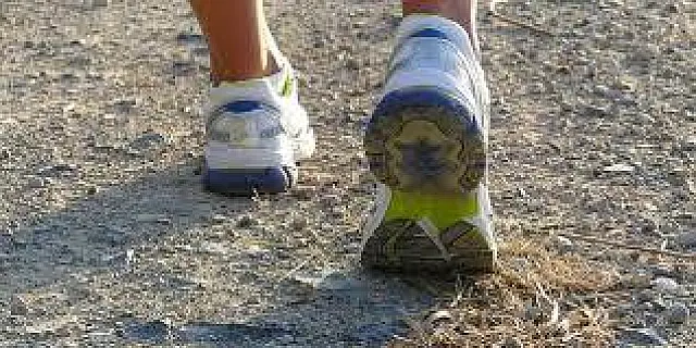 Caminhada Ecológica promete movimentar Aquidauana com ação ambiental
