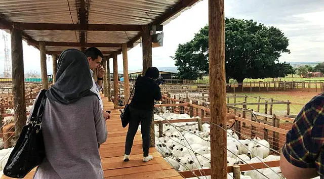 MS representa o Brasil em visita da Indonésia para conhecer defesa sanitária animal