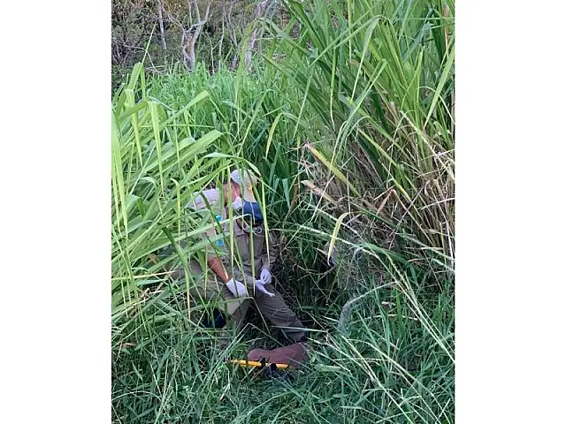 Depois de 10 dias desaparecido, homem é encontrado vivo em matagal