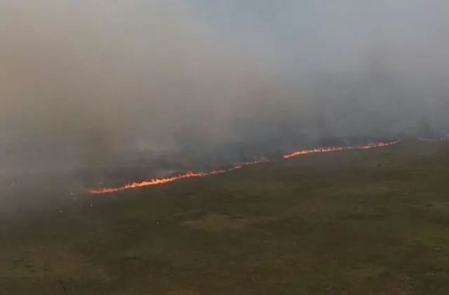 Incêndio em parque estadual mobiliza bombeiros de 4 cidades