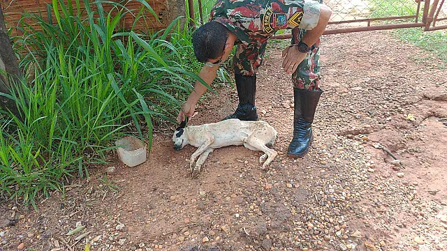 PMA autua 10 infratores, aplica R$ 53 mil em multas e apreende 48 kg de pescado