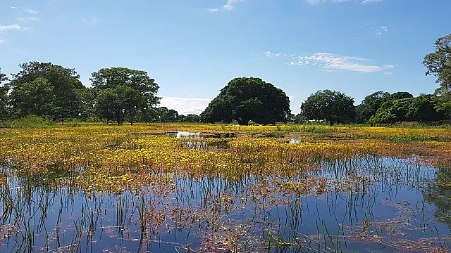 Aquidauana e PMA intensificam ações na Estação Ecológica Colorado