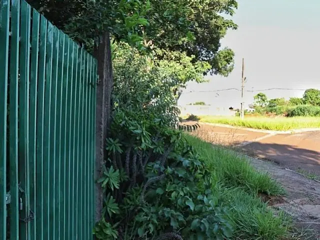 Para se defender de agressões, pai mata filho com golpes de punhal