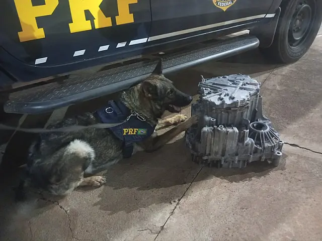 PRF apreende droga em encomenda com destino a São Paulo em Água Clara