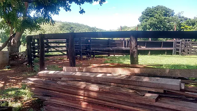 Fazendeiro é multado em R$ 7,5 mil por armazenamento ilegal aroeira e ipê