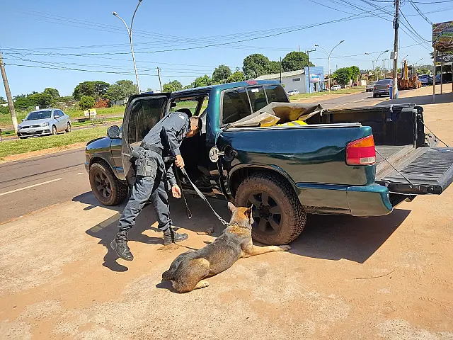 Cães da PM encontram maconha escondida em pneu de caminhonete