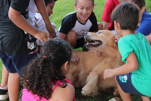 Centro promove encontro de cinoterapia em Anastácio com cães da Polícia Militar