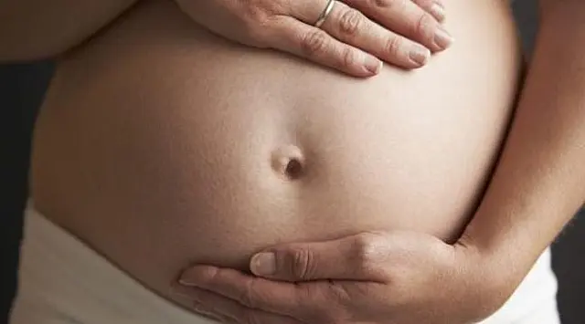 SES realiza web aula 'Observatório Obstétrico Brasileiro de Gestantes e Puérpera com Covid-19'