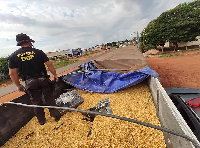 Com recordes de apreensões, DOF já tirou de circulação mais de 180 toneladas de drogas
