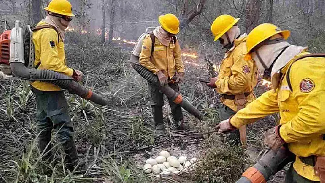 Formação de brigadas indígenas começa dia 15 em Aquidauana