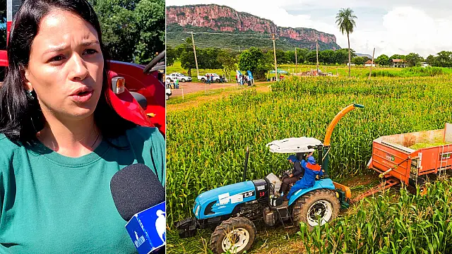 Produtos de qualidade são a marca da agricultura familiar aquidauanense