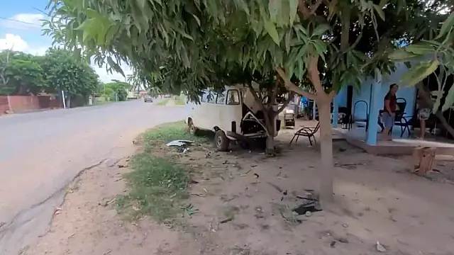 Idoso morre atropelado por carro enquanto estava sentado embaixo de árvore