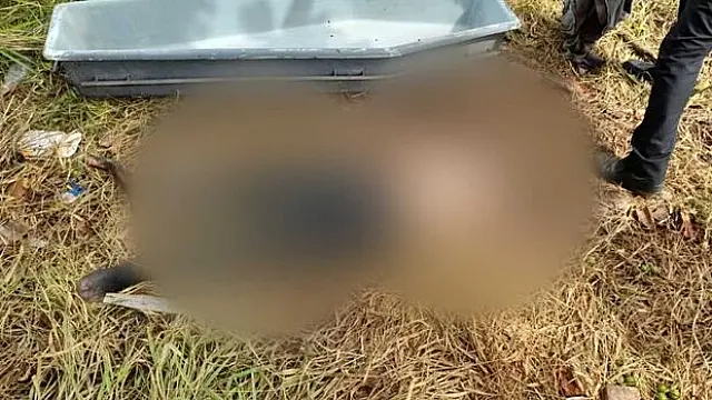 Corpo de catador de latinhas é encontrado em pasto na fronteira