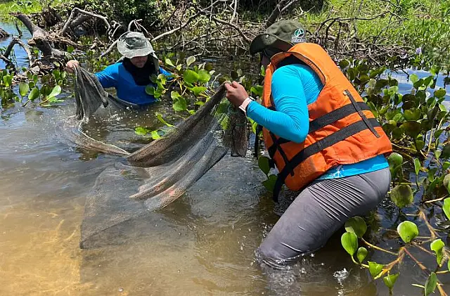 Pesquisadores do Bioparque desbravam o Pantanal em expedição