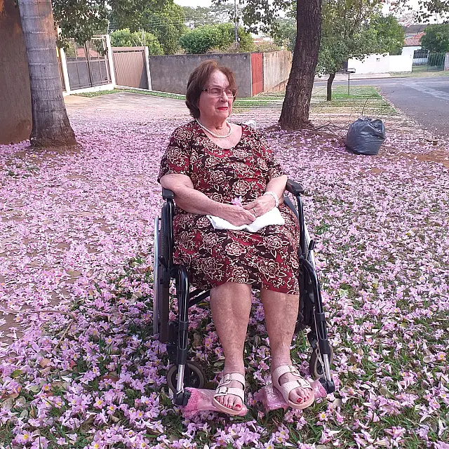 Família celebra mais um ano de vida da inspiradora dona Nilce
