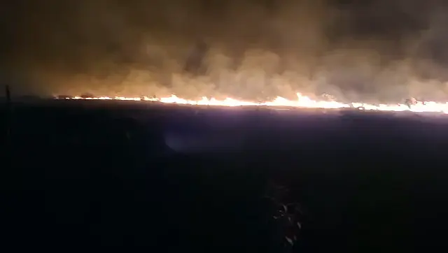 Aumento de incêndios faz governo reforçar atuação no Pantanal