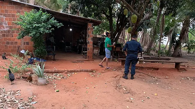 Em ato de coragem, militares resgatam idosos de enxame de abelhas